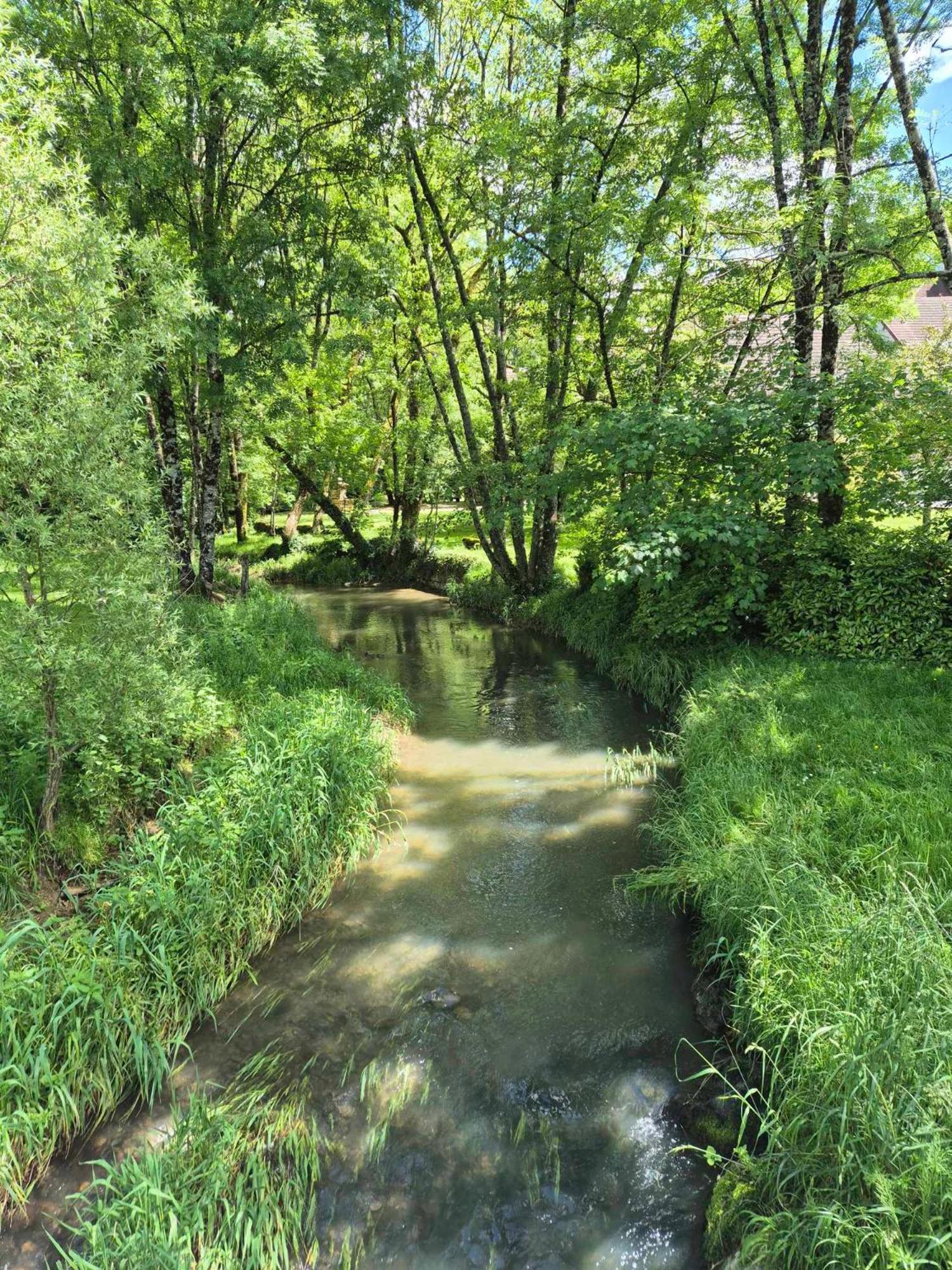 Au lavoir du Serein Les Écureuils Saint-Germain-lès-Arlay Esterno foto